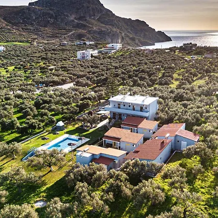 Ikaros Studios Plakias Exterior photo